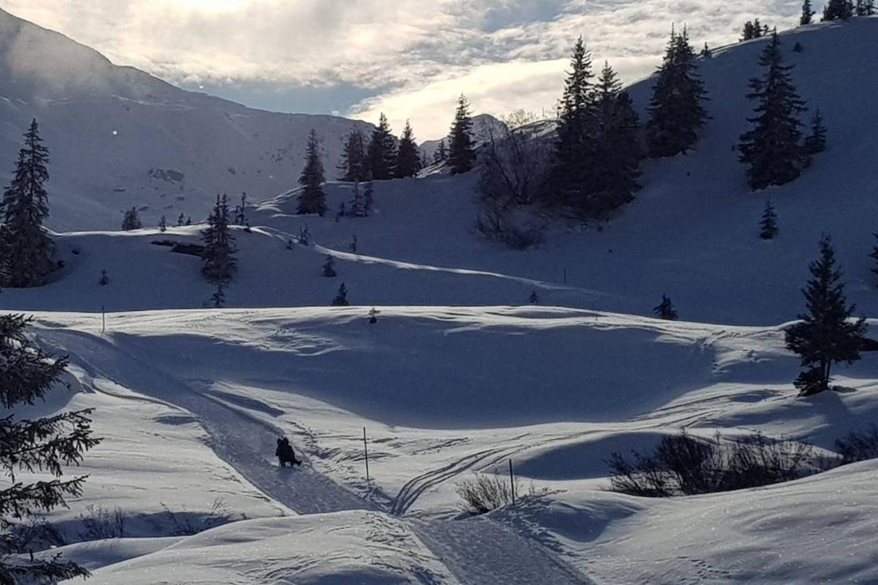 Z Studio - Next Door To Vals Therme エクステリア 写真